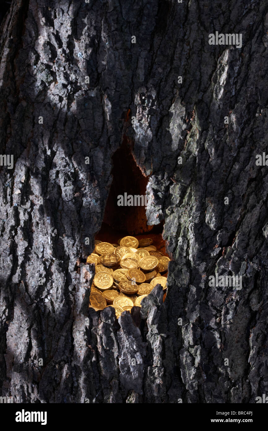 Sterlina oro monete in tronco di albero Foto Stock