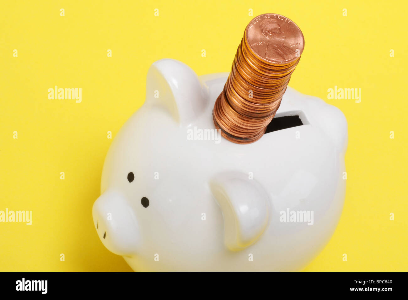 Piggy Bank Foto Stock
