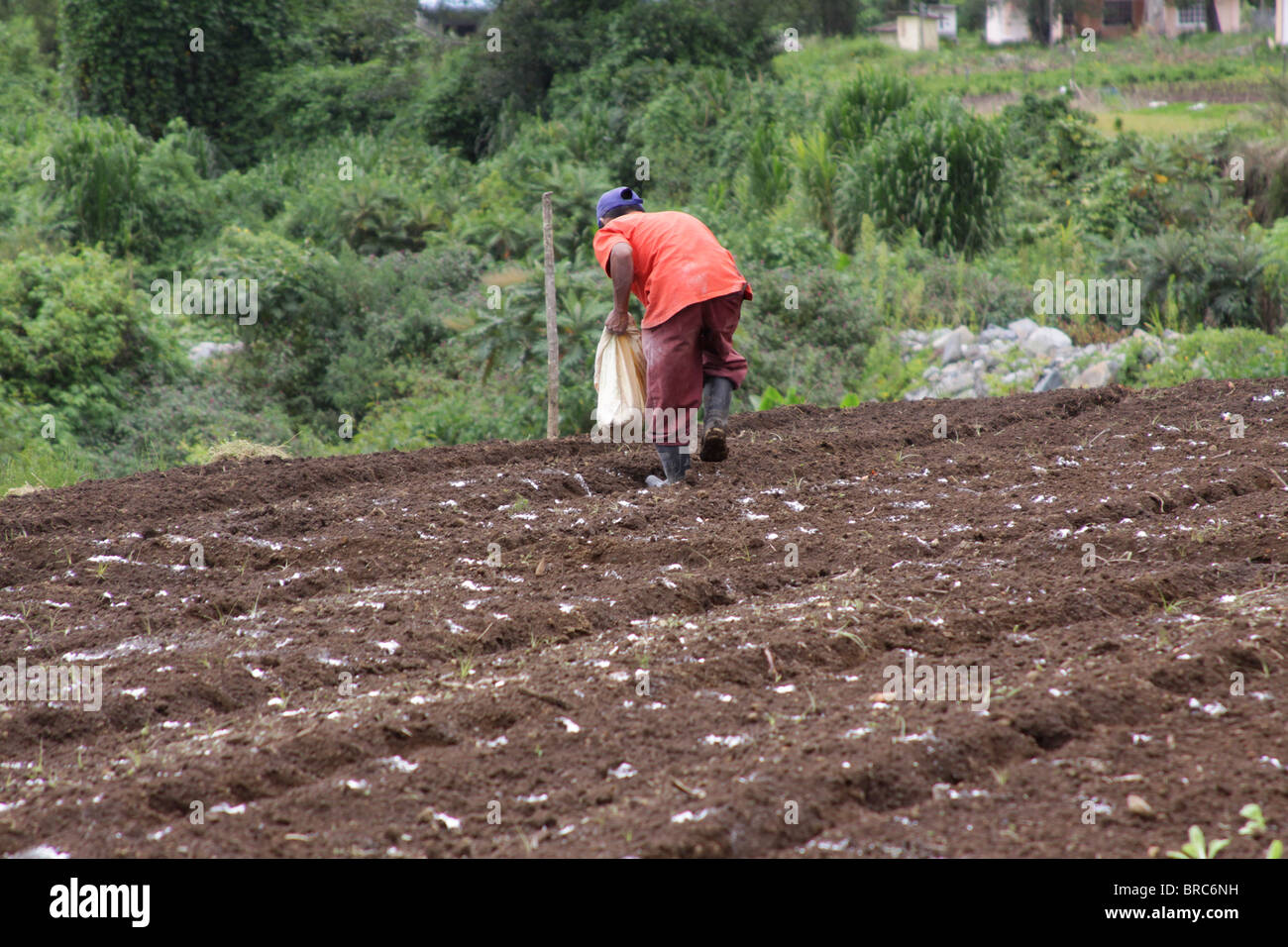 Coltivatore a una cittadina rurale in Chiriqui provincia di Panama. Foto Stock