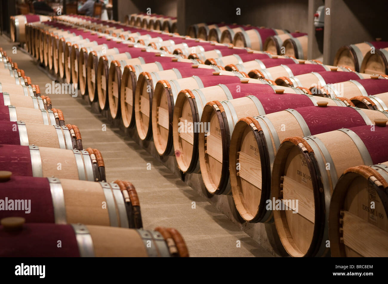 Botti di rovere francese nella cantina di invecchiamento del Robert Mondavi Azienda vitivinicola, Napa Valley, California, Stati Uniti d'America Foto Stock