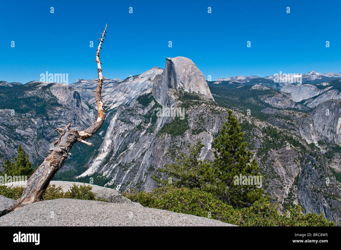 Half Dome Mountain vista dal punto ghiacciaio, Yosemite National Park, California, Stati Uniti d'America Foto Stock