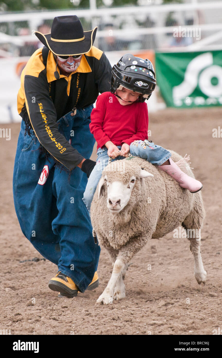 Carni di montone rompendosi evento, bambini Equitazione pecore, Strathmore e Giornate del patrimonio, rodeo, Strathmore, Alberta, Canada Foto Stock