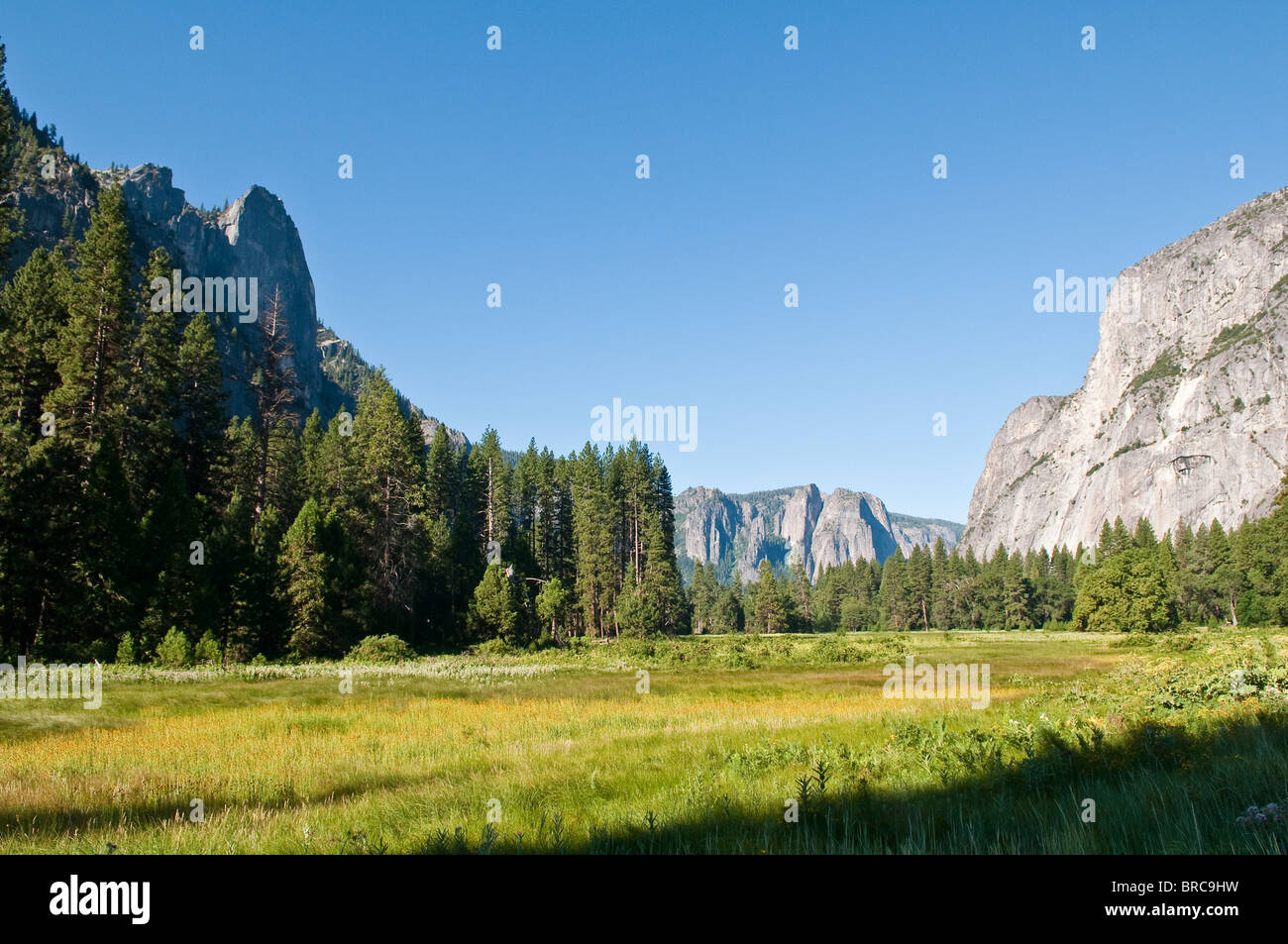 Tipico paesaggio nel Parco Nazionale di Yosemite in California, Stati Uniti d'America Foto Stock