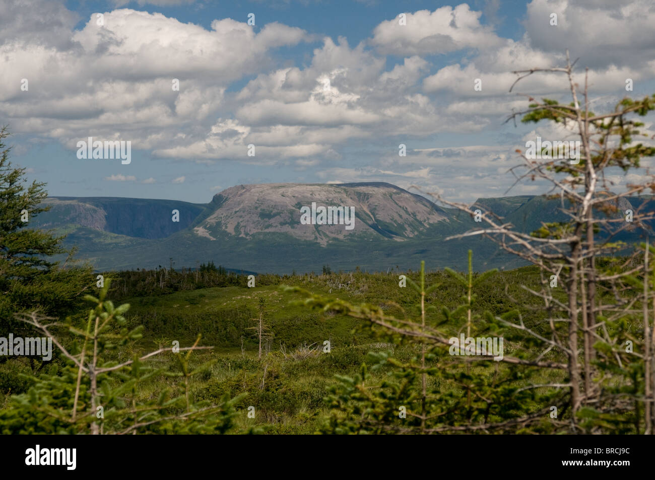 Gros Morne dalla montagna Lookout Trail Parco Nazionale Gros Morne Terranova e Labrador Foto Stock