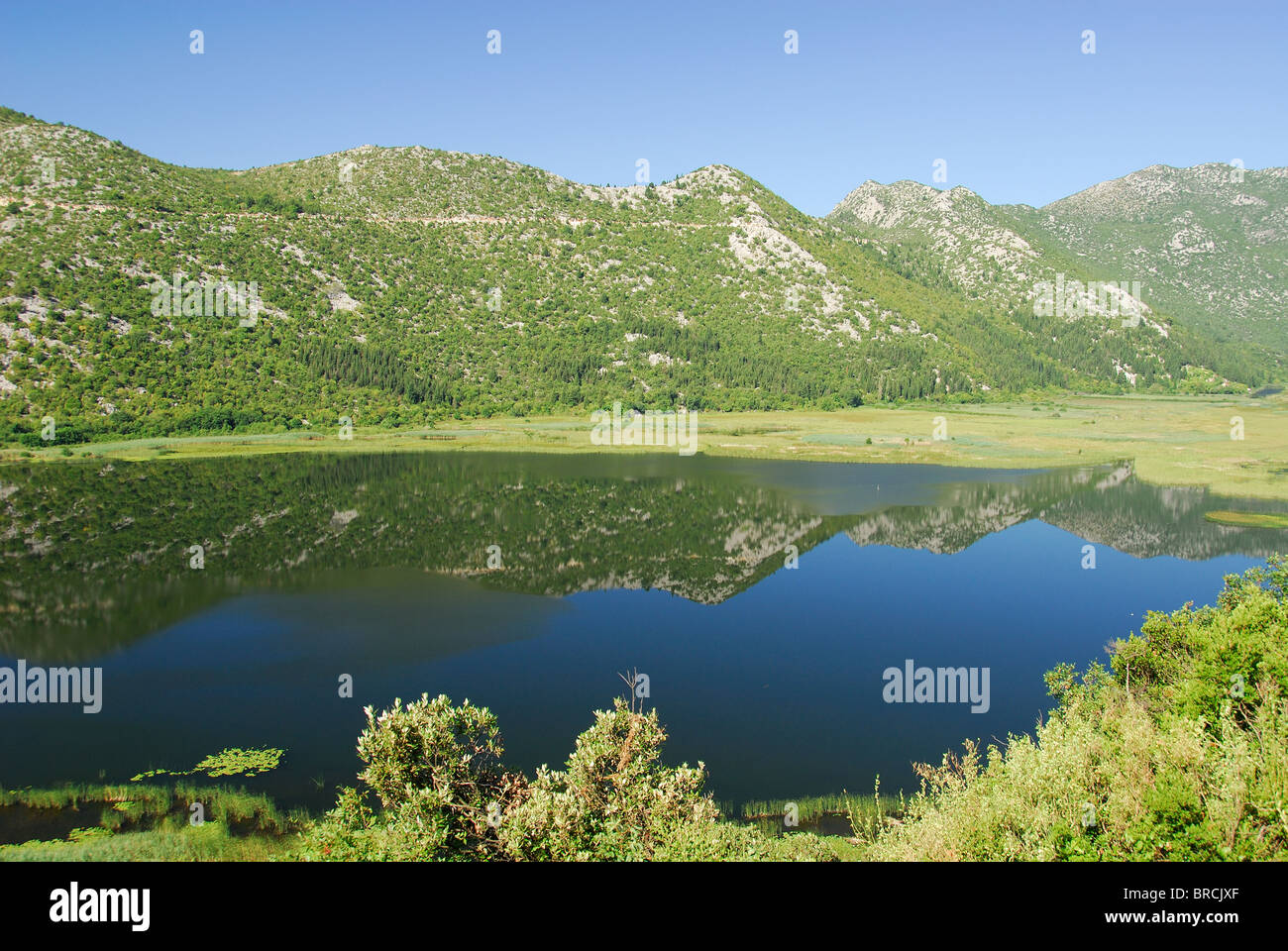 Costa della Dalmazia, Croazia. La Neretva Delta vicino a Ploce nella Dalmazia Meridionale. Foto Stock