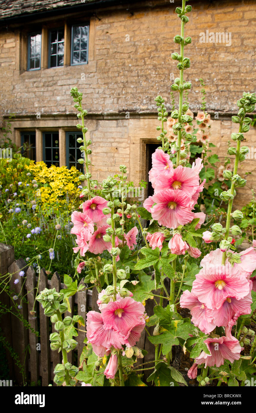 Cotswold cottage in pietra con Holly garretti nel giardino anteriore, Guiting Power, Gloucestershire, Regno Unito Foto Stock