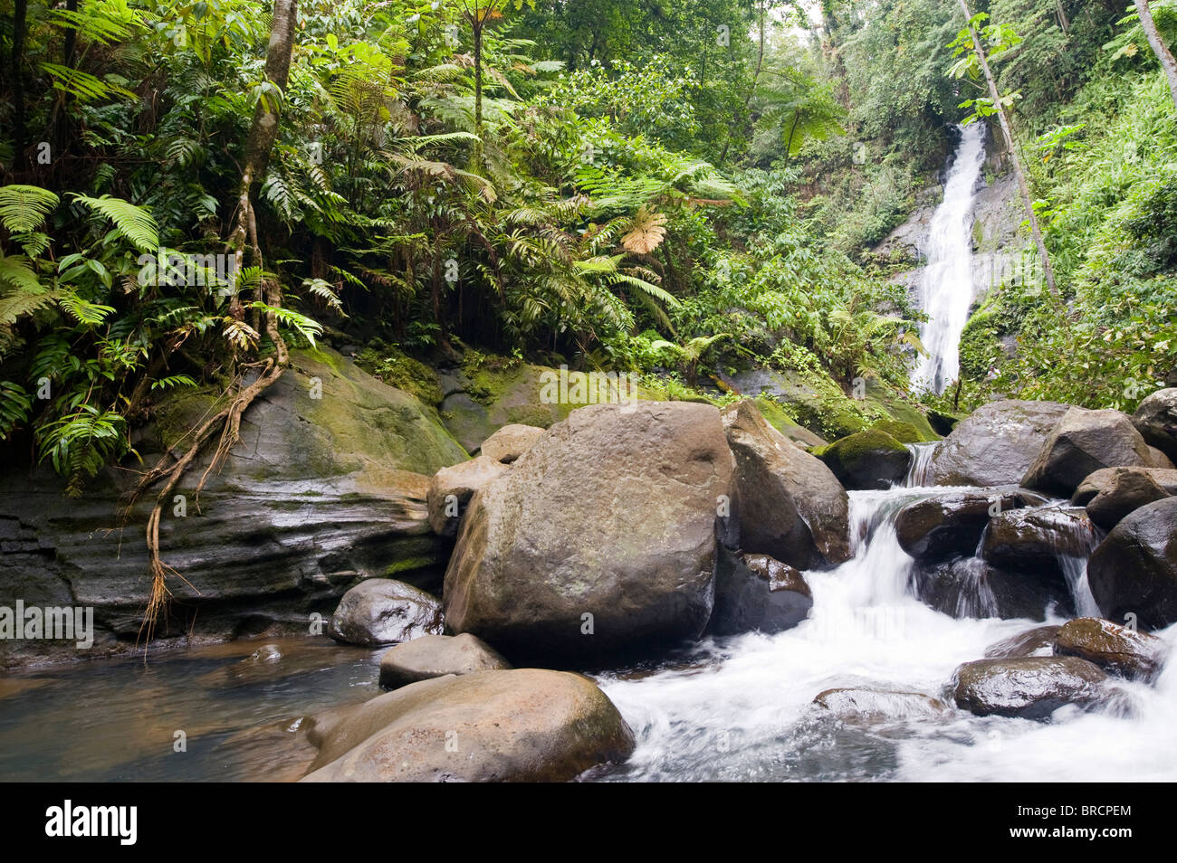 Cascata, Cocos Island National Park, Costa Rica, Est Oceano Pacifico Foto Stock