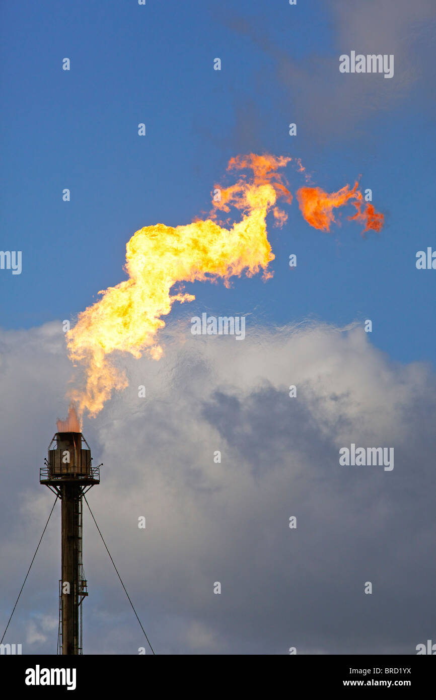 Una svasatura combustione a fiamma libera dei gas non utilizzabili a Exxonmobil Fife Impianto di etilene, Scozia Foto Stock