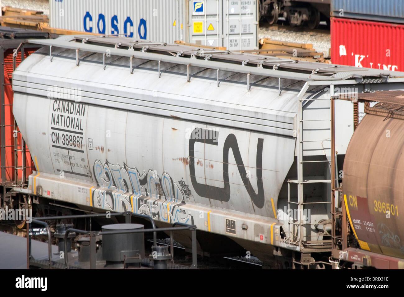 Il Canadian National nolo auto in Canadese Pacific cantiere ferroviario in Port Coquitlam Vancouver BC British Columbia Canada Foto Stock