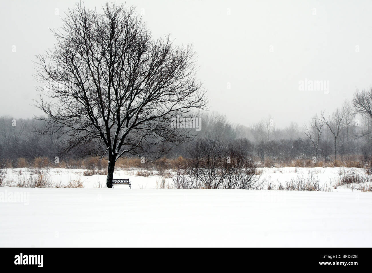 Tempesta di neve su Reedsburg farm in Wisconsin Foto Stock