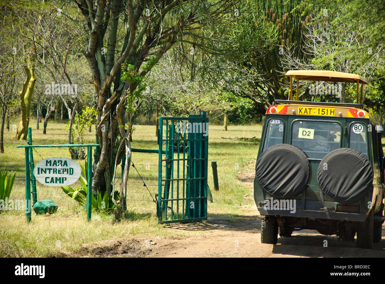 Veicolo Safari che entra nel campo degli Intrepidi Mara, o Mara Intrepid, riserva nazionale Masai Mara, Kenya, Africa Foto Stock