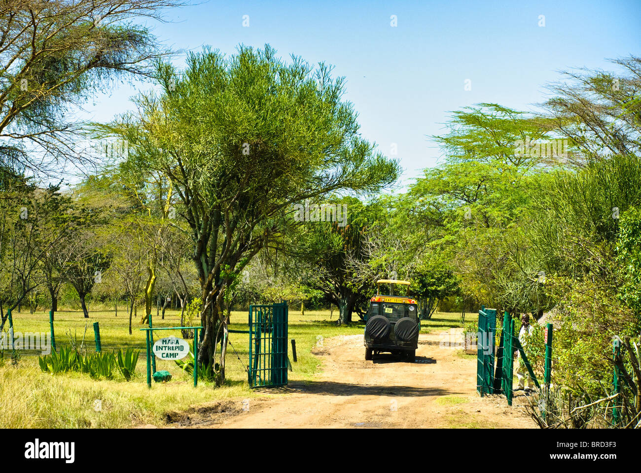 Veicolo Safari che entra nel campo degli Intrepidi Mara, o Mara Intrepid, riserva nazionale Masai Mara, Kenya, Africa Foto Stock