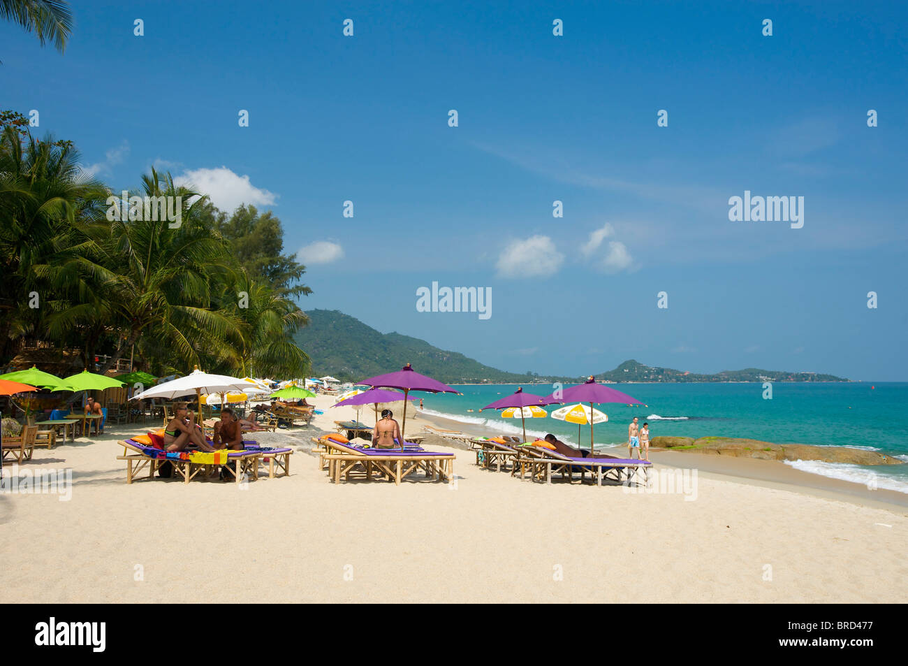 Lamai Beach, Ko Samui Insel, Thailandia Foto Stock