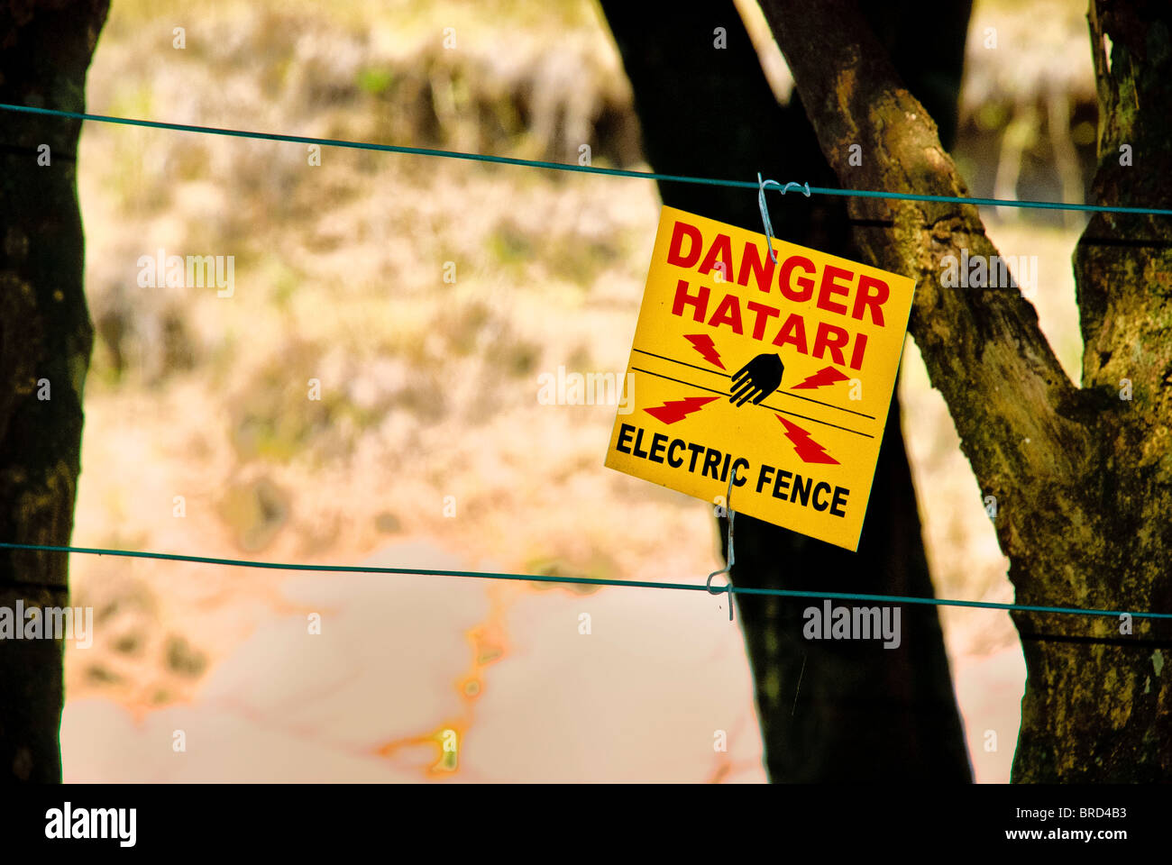 Accedi Swahli e inglese sul recinto elettrico che circonda il Mara Intrepids Camp, Masai Mara riserva nazionale, Kenya, Africa Foto Stock