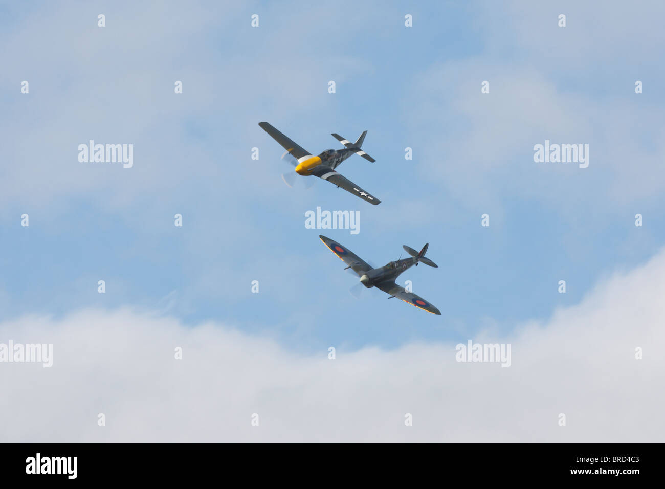 Un P51D Mustang e un Super marine Mk IXB Spitfire in stretta formazione Foto Stock