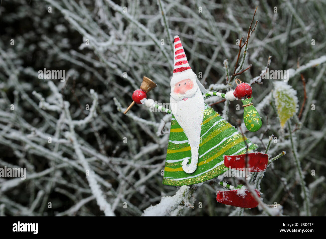 Una lattina di colore verde e rosso di allegro padre albero di natale decorazione seduta su un ramo di pupazzo di neve nel giardino di una suoneria handbell Foto Stock