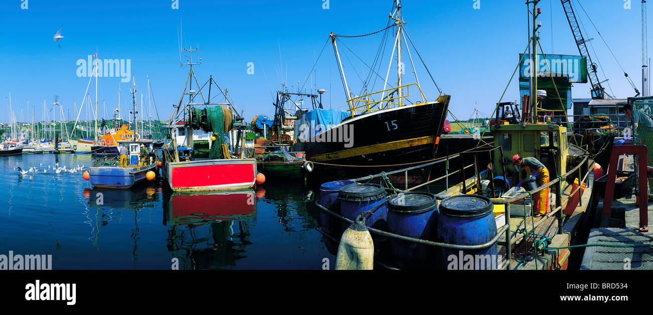 Kinsale, Co Cork, Irlanda; barche da pesca Foto Stock