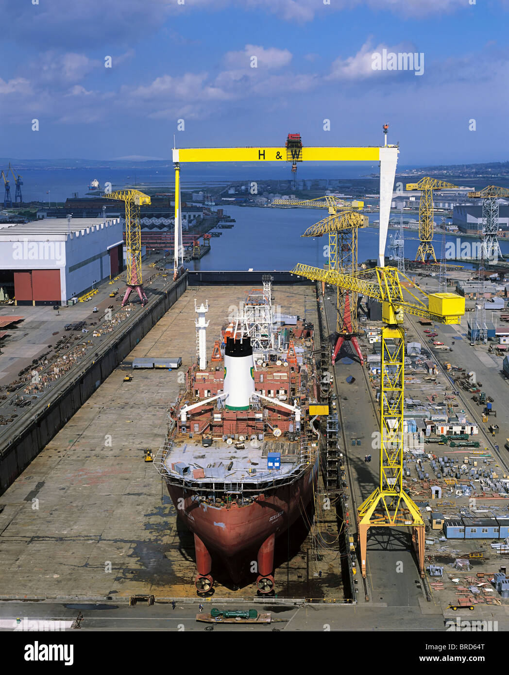 Harland & Wolff, porto di Belfast, Belfast, Irlanda, costruzione navale Foto Stock