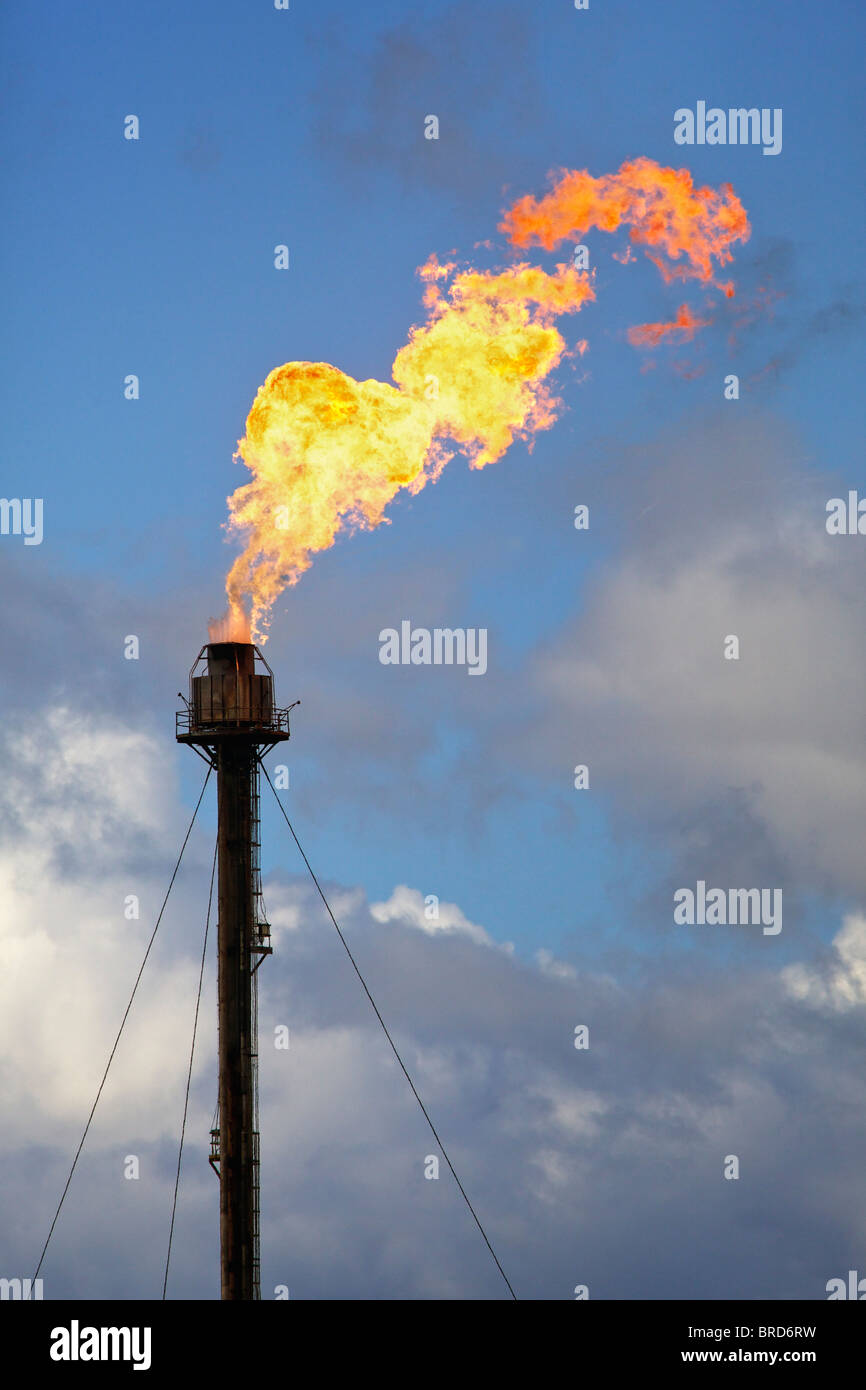 Una svasatura combustione a fiamma libera dei gas non utilizzabili a Exxonmobil Fife Impianto di etilene, Scozia Foto Stock