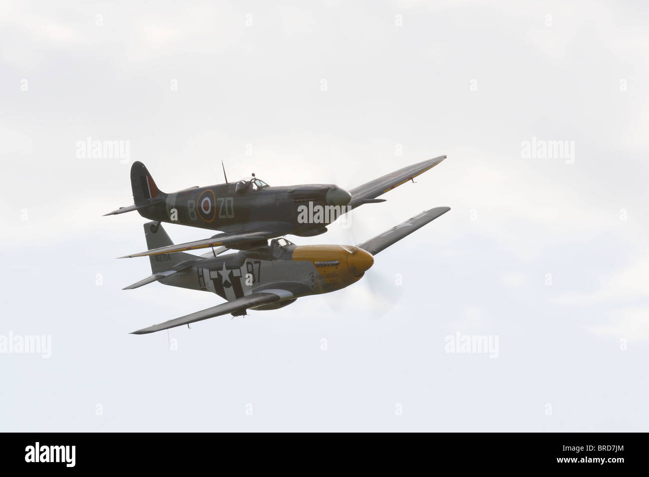 Un P51D Mustang e un Super marine Mk IXB Spitfire in stretta formazione Foto Stock