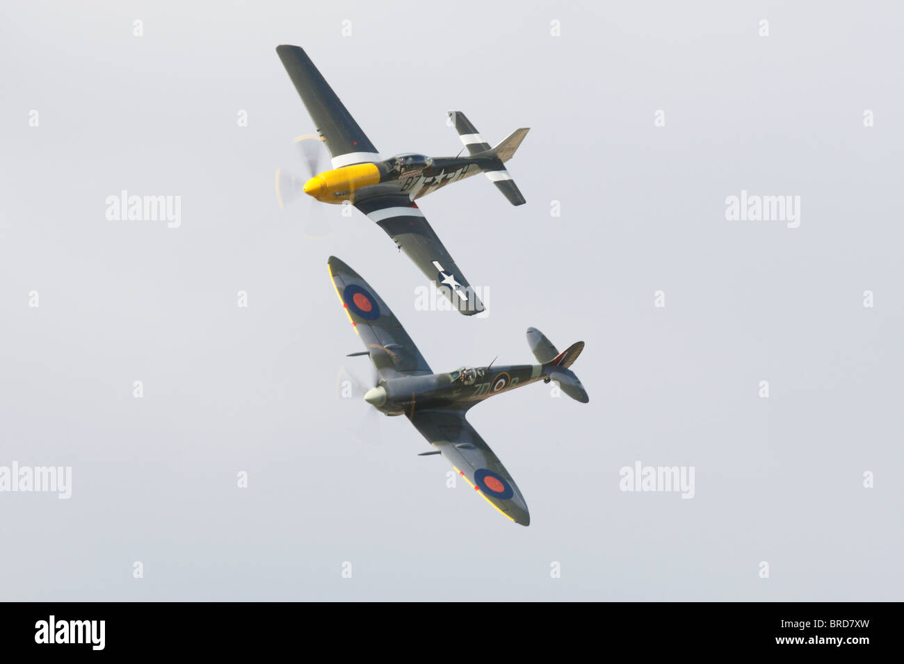 Un P51D Mustang e un Super marine Mk IXB Spitfire in stretta formazione Foto Stock