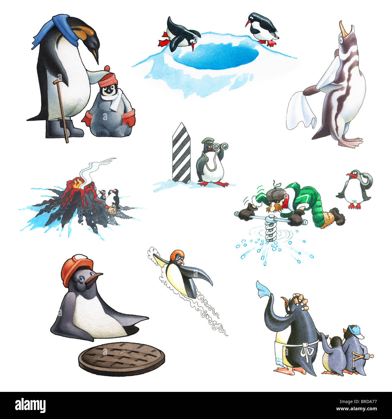 Pinguino Foto Stock