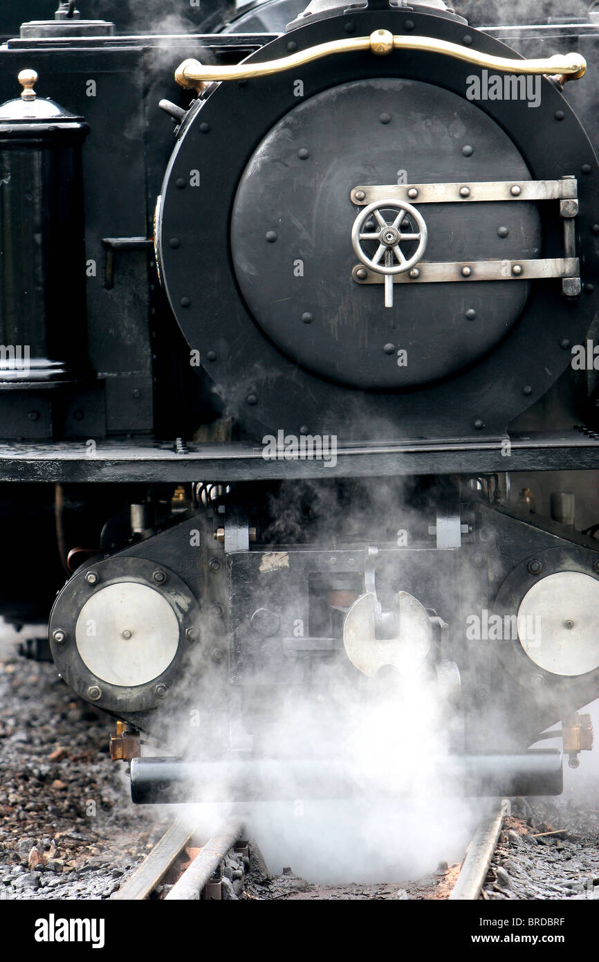 Motori a serbatoio di vapore sul treno rurale gallese Ffestiniog Servizio Galles Regno Unito Foto Stock