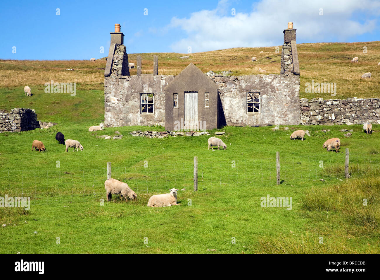 Abbandonate abbandonate croft house con il pascolo ovino, Dale di pareti, Continentale, le isole Shetland, Scozia Foto Stock