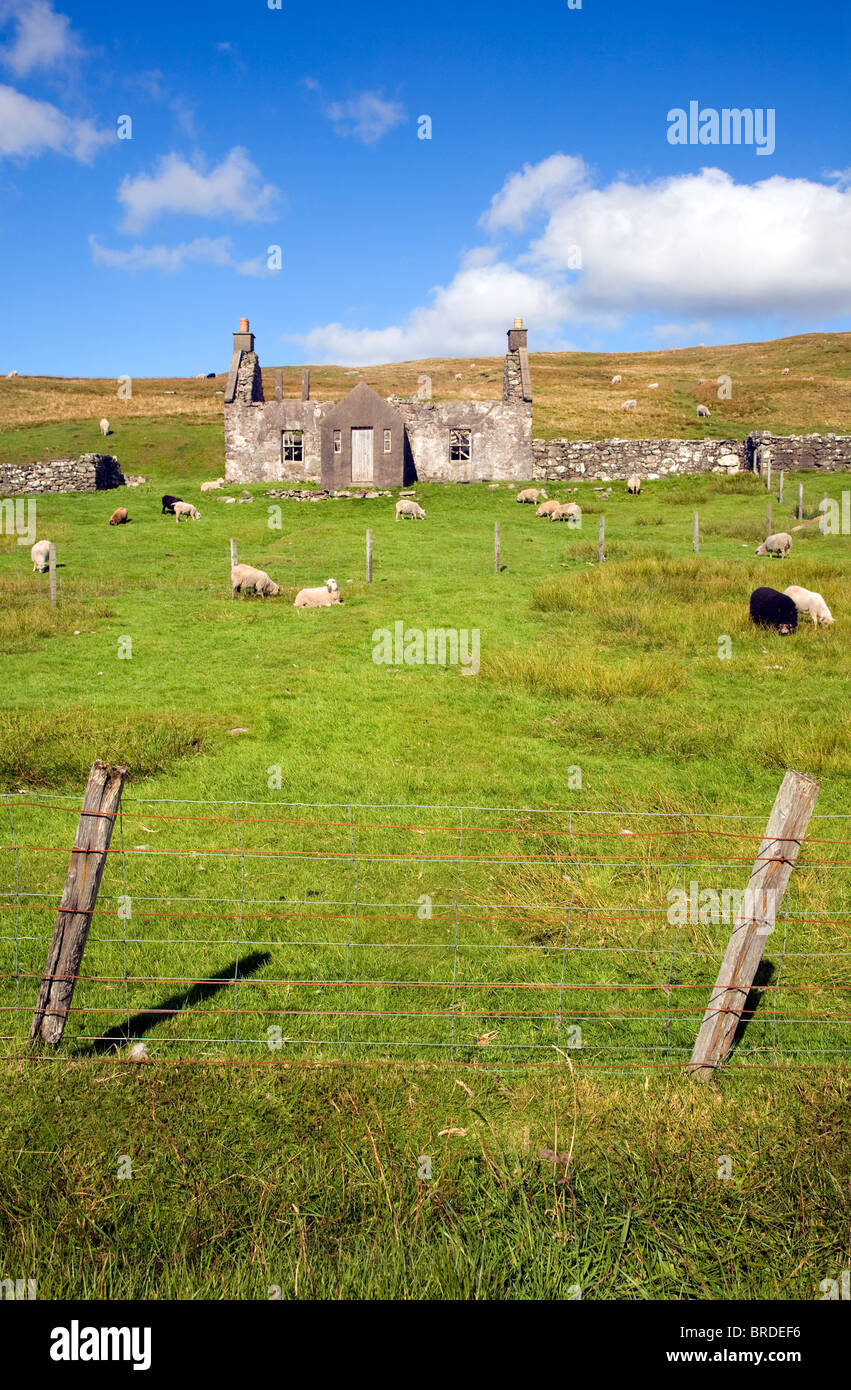 Abbandonate abbandonate croft house con il pascolo ovino, Dale di pareti, Continentale, le isole Shetland, Scozia Foto Stock