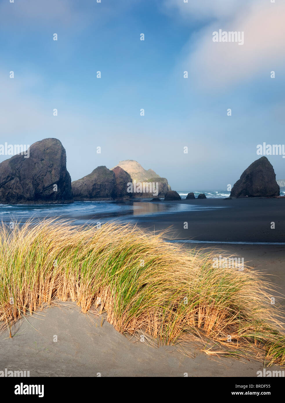 La nebbia e dune di erba a Cape Sabastian. Oregon Foto Stock