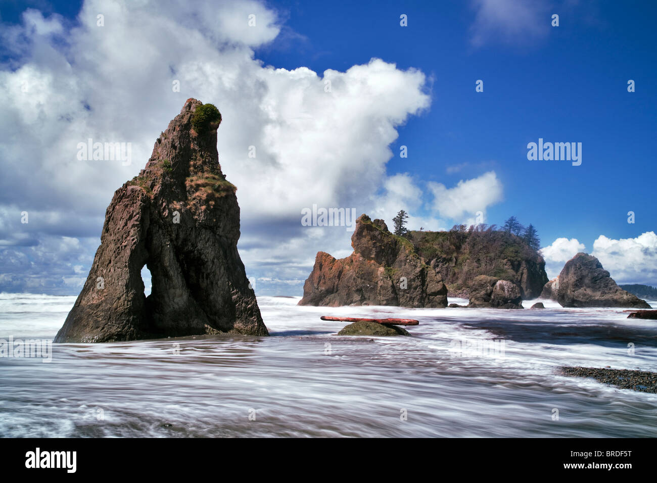 Spiaggia di rubino e wave. Il Parco nazionale di Olympic, Washington Foto Stock