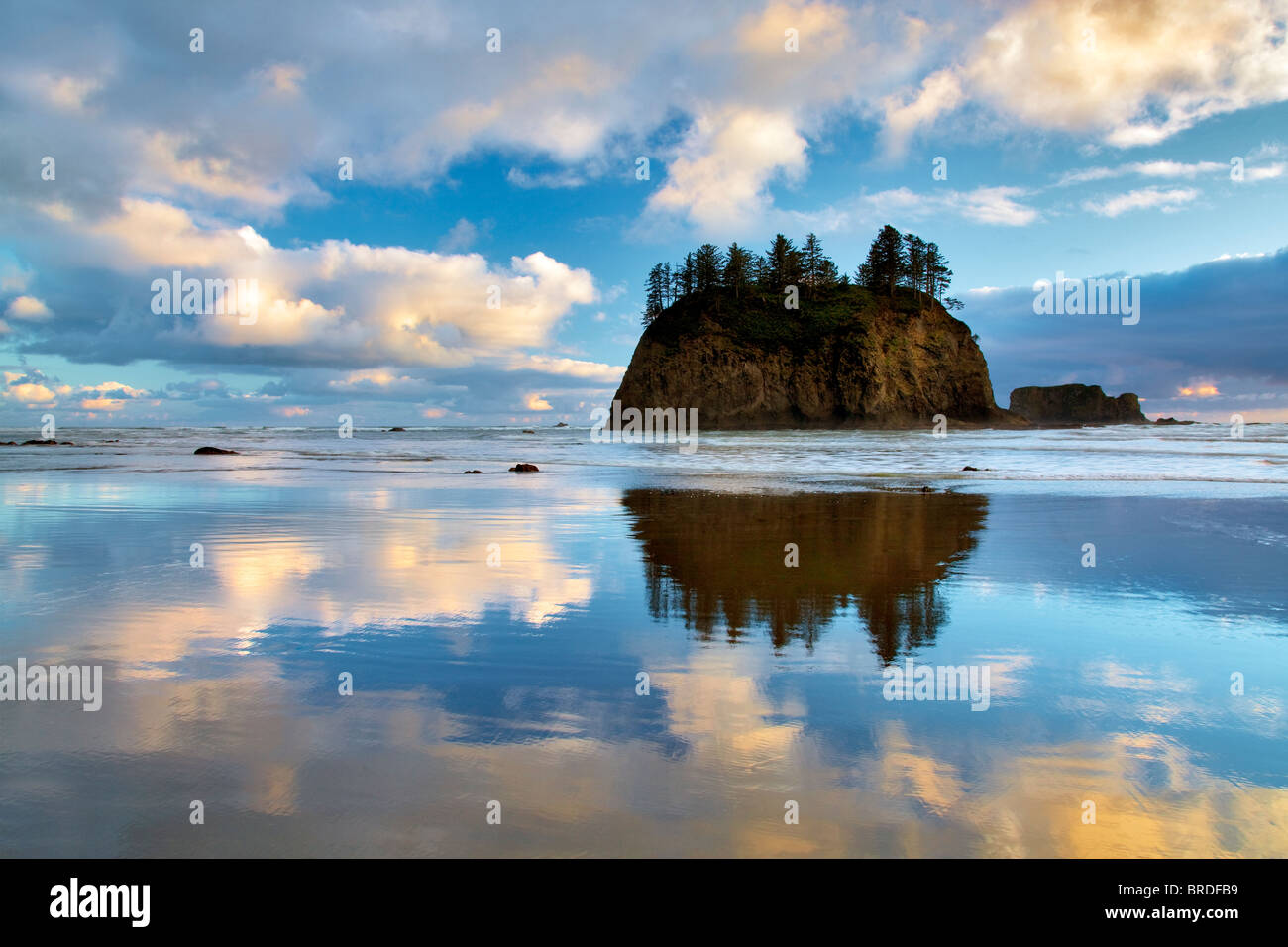 Marea bassa riflessione di pianto Lady Rock a seconda spiaggia. Il Parco nazionale di Olympic, Washington Foto Stock