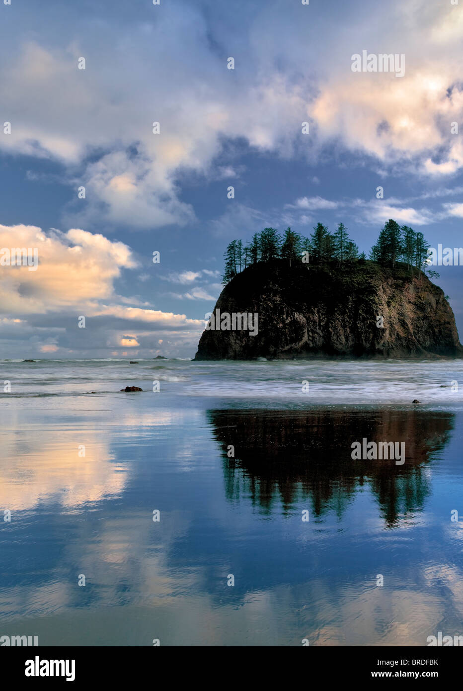 Marea bassa riflessione di pianto Lady Rock a seconda spiaggia. Il Parco nazionale di Olympic, Washington Foto Stock