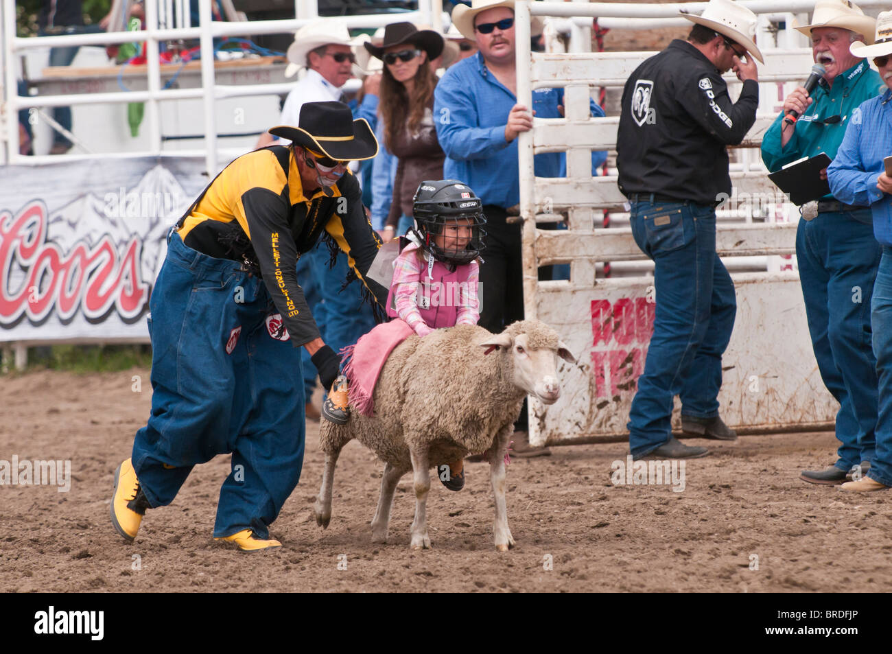 Carni di montone rompendosi evento, bambini Equitazione pecore, Strathmore e Giornate del patrimonio, rodeo, Strathmore, Alberta, Canada Foto Stock