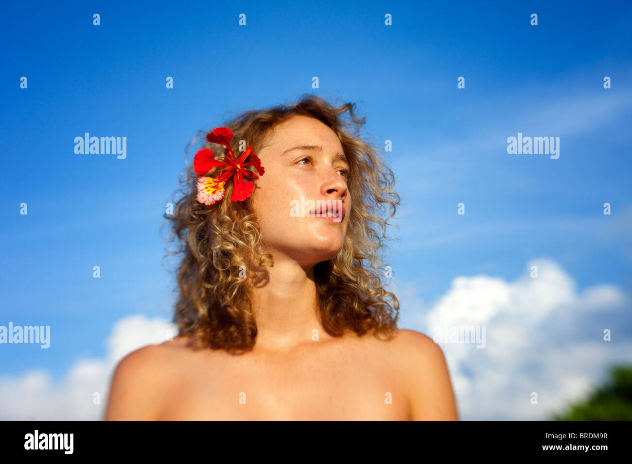 Giovane donna con fiore nei capelli ricci Foto Stock