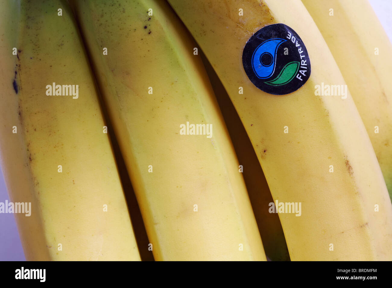 Fairtrade adesivo con Fairtrade logo su bloccato sul mazzetto di banane Fairtrade - simbolo del logo del commercio equo e solidale Foto Stock