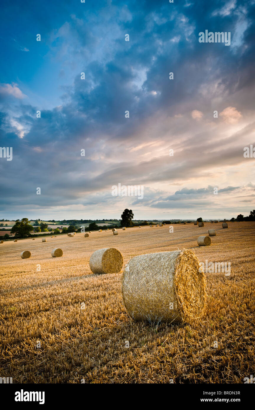 Bails fieno e stoppia in un campo al tramonto, Warwickshire, Inghilterra, Regno Unito Foto Stock