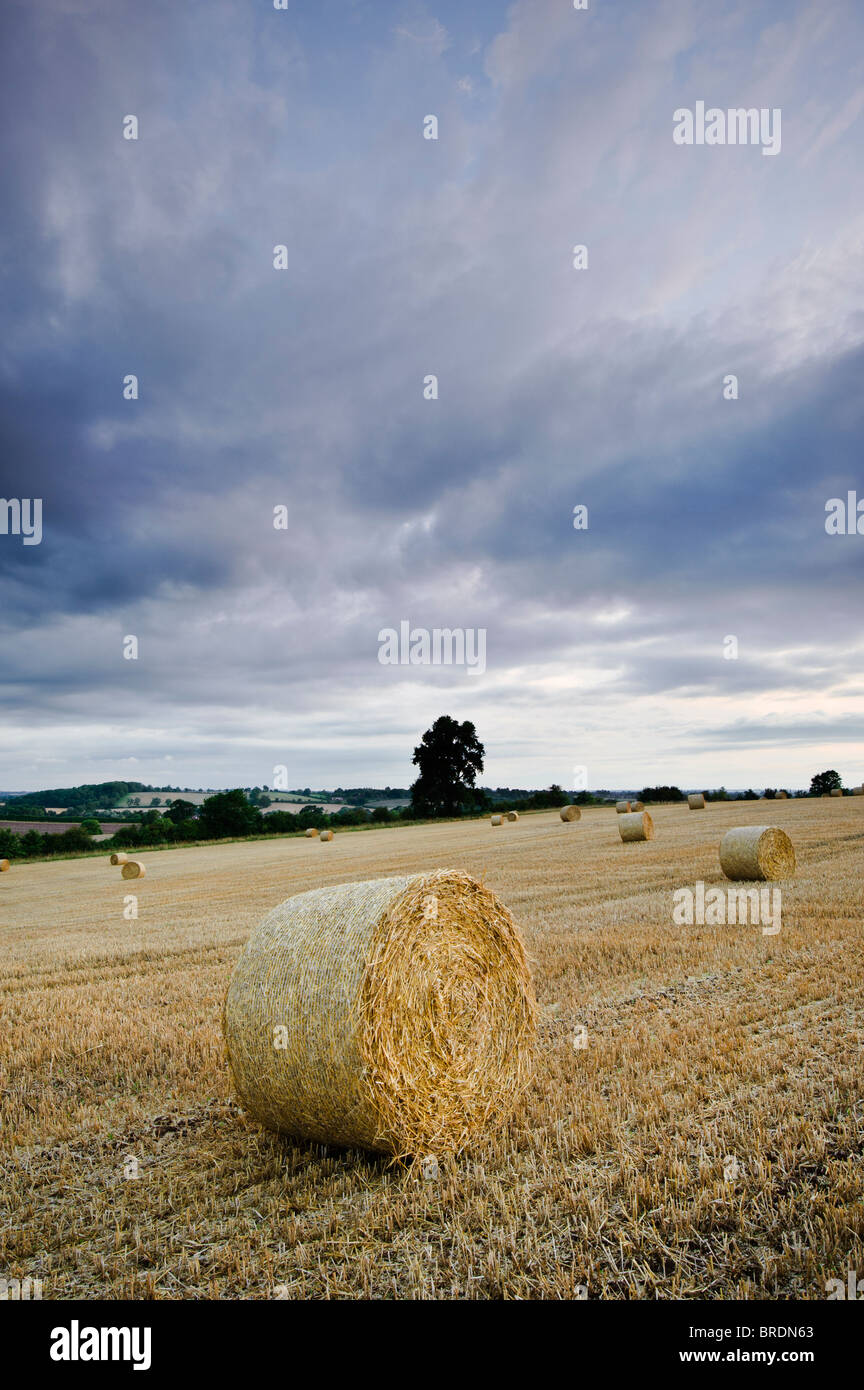 Bails fieno e stoppia in un campo al tramonto, Warwickshire, Inghilterra, Regno Unito Foto Stock