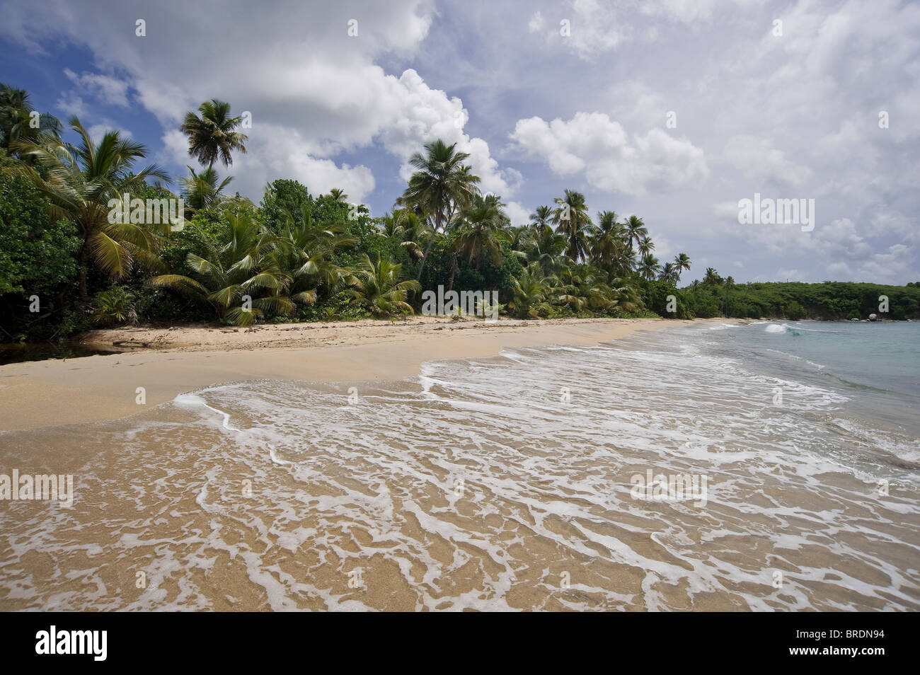 Surf, onde e schiuma isolato su una spiaggia deserta e Vieques Puerto Rico Foto Stock