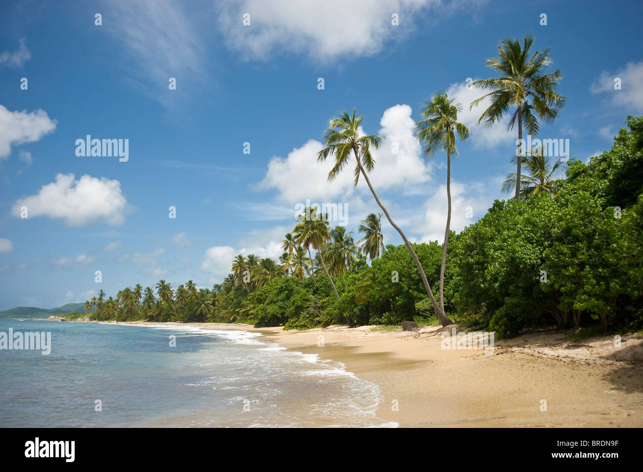 Surf, onde e schiuma isolato su una spiaggia deserta e Vieques Puerto Rico Foto Stock