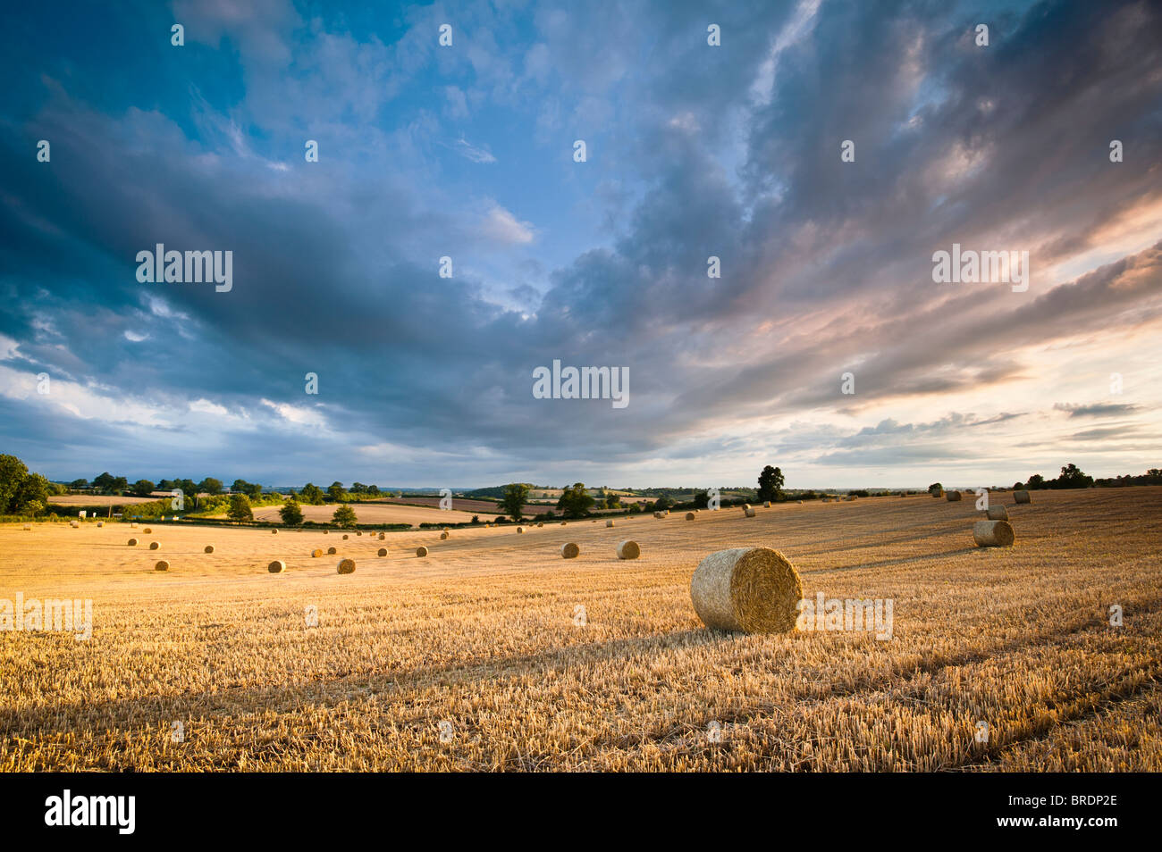 Bails fieno e stoppia in un campo al tramonto, Warwickshire, Inghilterra, Regno Unito Foto Stock