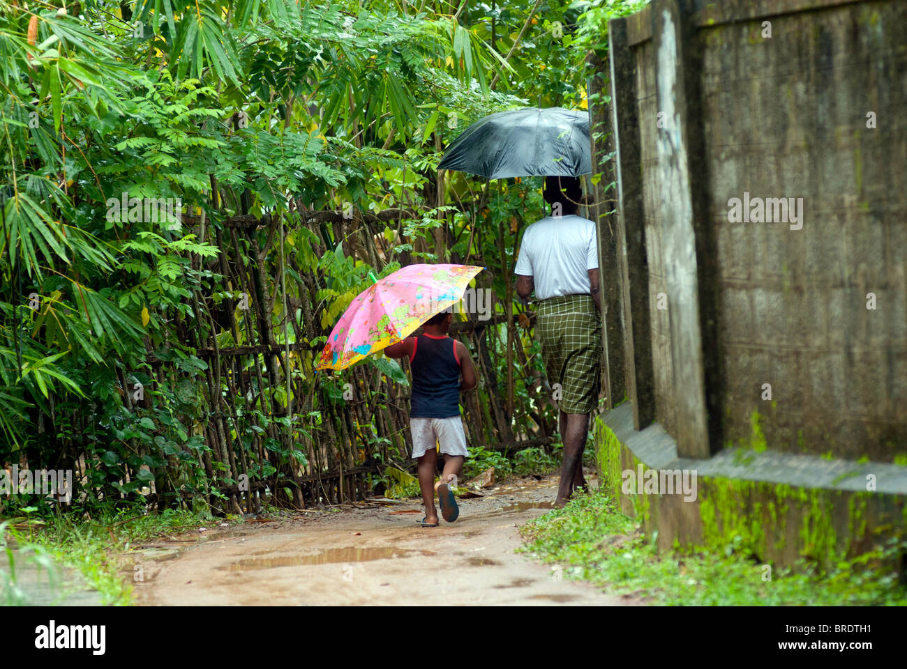 Un vecchio uomo è il suo modo per far cadere il suo nipote a scuola durante il monsone; giornata piovosa a Alappuzha; Alleppey, Kuttanad, Kerala. Foto Stock