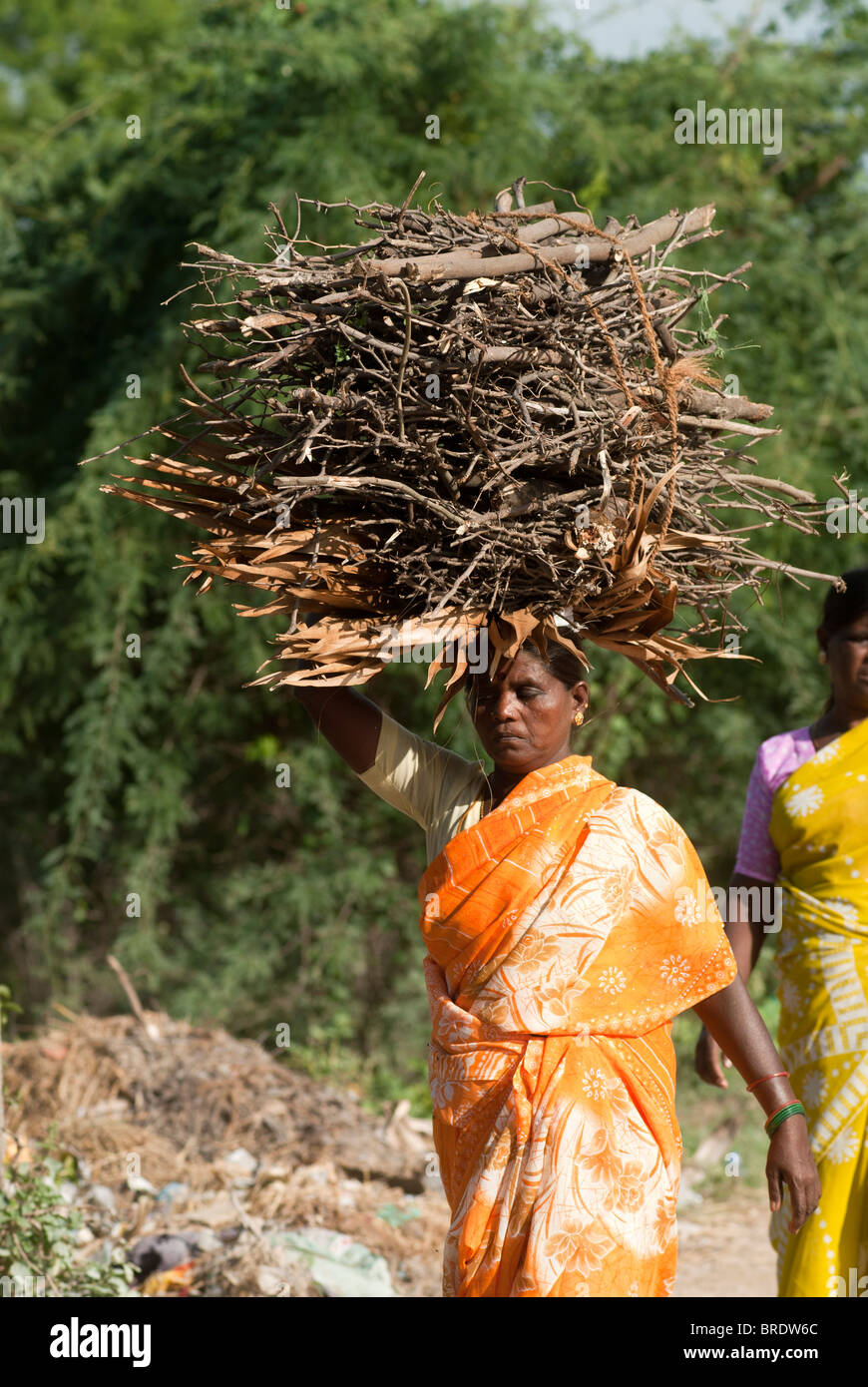 Una donna che porta la legna sulla testa, Tamil Nadu, India. Foto Stock