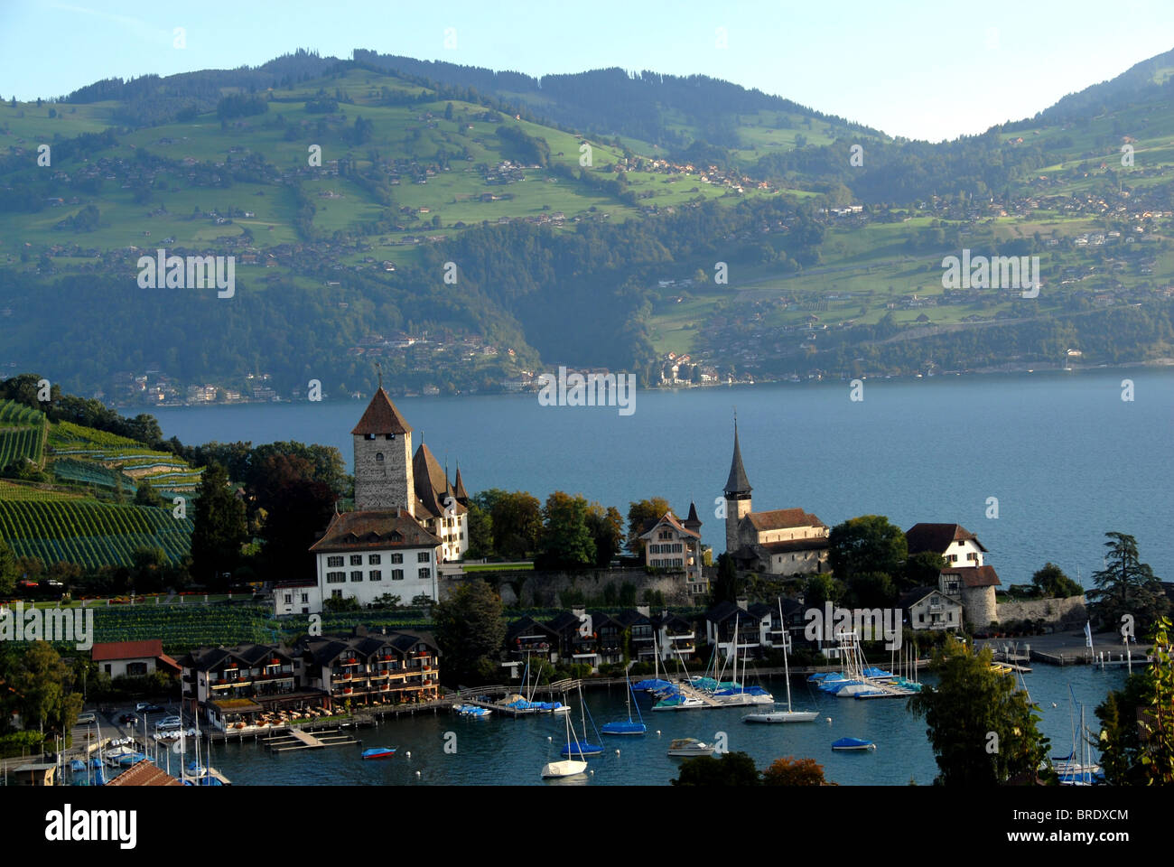 Castello di Spiez e il Lago di Thun, Oberland bernese, Svizzera Foto Stock