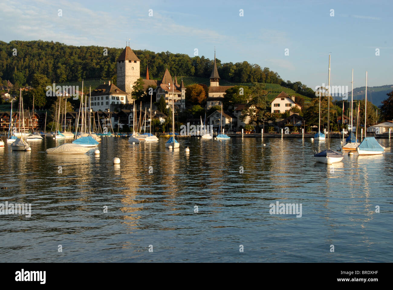 Castello di Spiez sul Lago di Thun, Oberland bernese, Svizzera Foto Stock