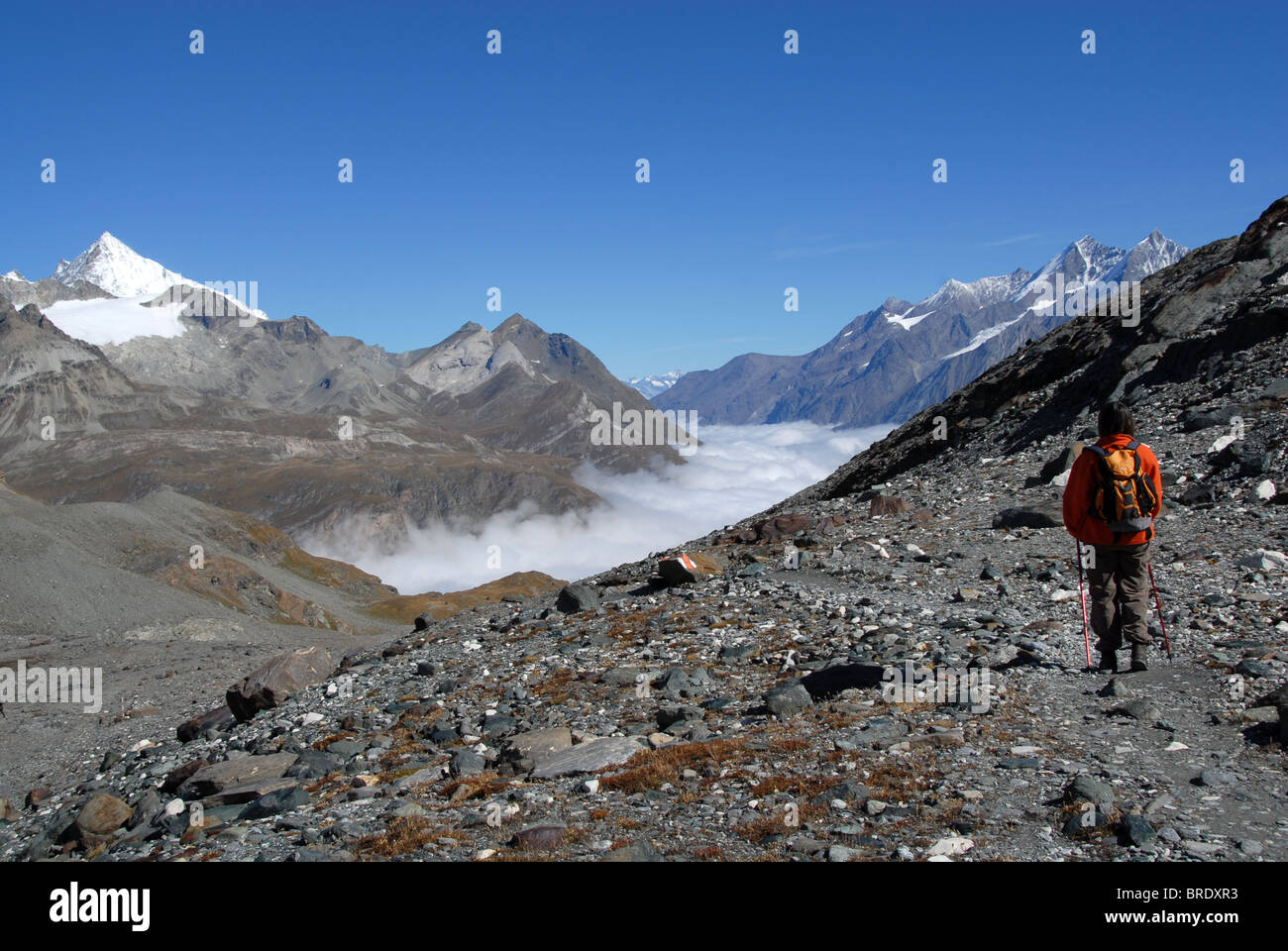 Escursionista sopra Zermatt sul 'Glacier Trail' con Mattertal in nebbia e Weisshorn (l) e Mischabel montagne (r), Svizzera Foto Stock