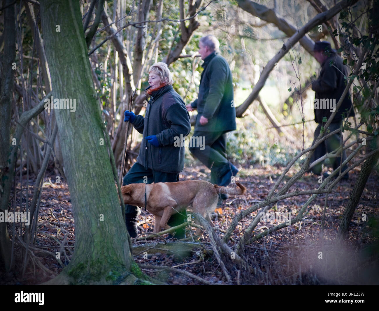 Gli uomini e le donne battendo nei boschi con il cane Foto Stock