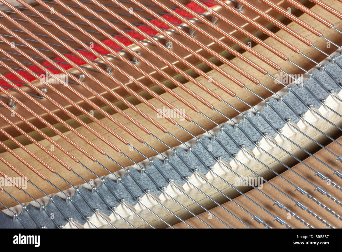Close-up dettaglio del pianoforte stringhe di un pianoforte a coda Foto Stock