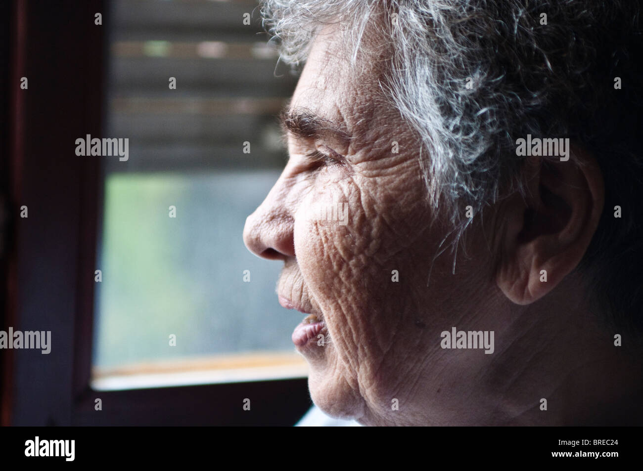 Ritratto di una donna anziana Foto Stock