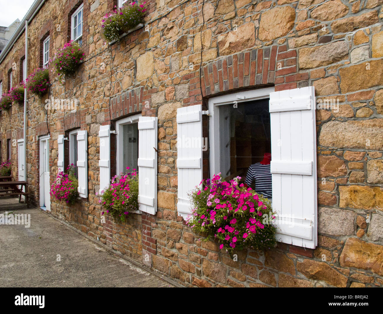 Scatole di finestra di decorare le finestre di un negozio di St Aubins sull'isola di Jersey Foto Stock